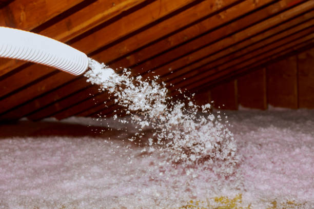 Best Insulation Inspection Services  in Montrose, MI