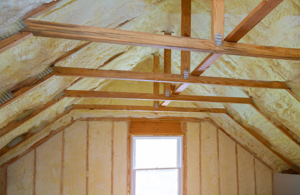 Best Spray Foam Insulation  in Montrose, MI