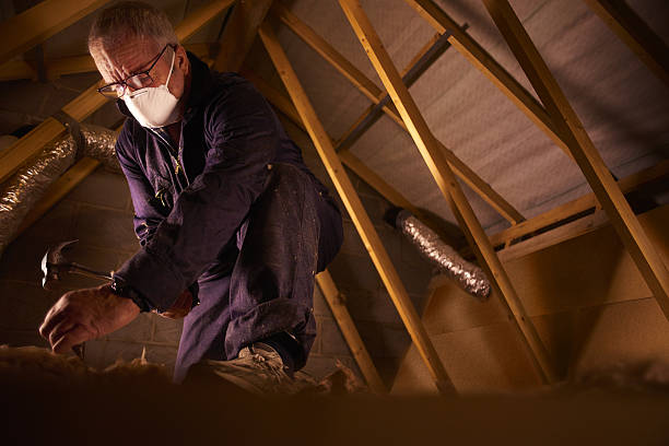 Insulation Inspection Services in Montrose, MI
